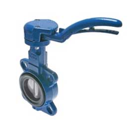 DN300PN10Wafer Butterfly Valve Stainless Steel- Stainless Steel-FKM