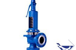 LESER SAFETY VALVE شیر اطمینان لسر