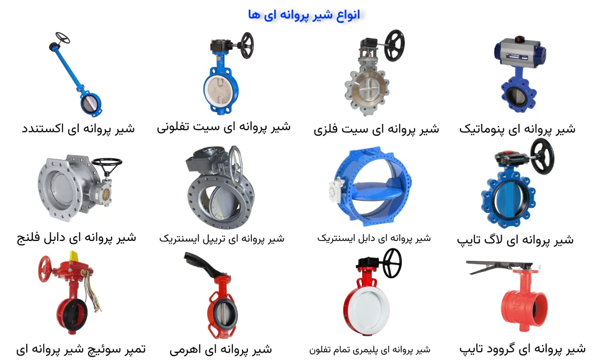 انواع شیر پروانه ای ها
