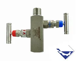 SS316L 2-Way Manifold